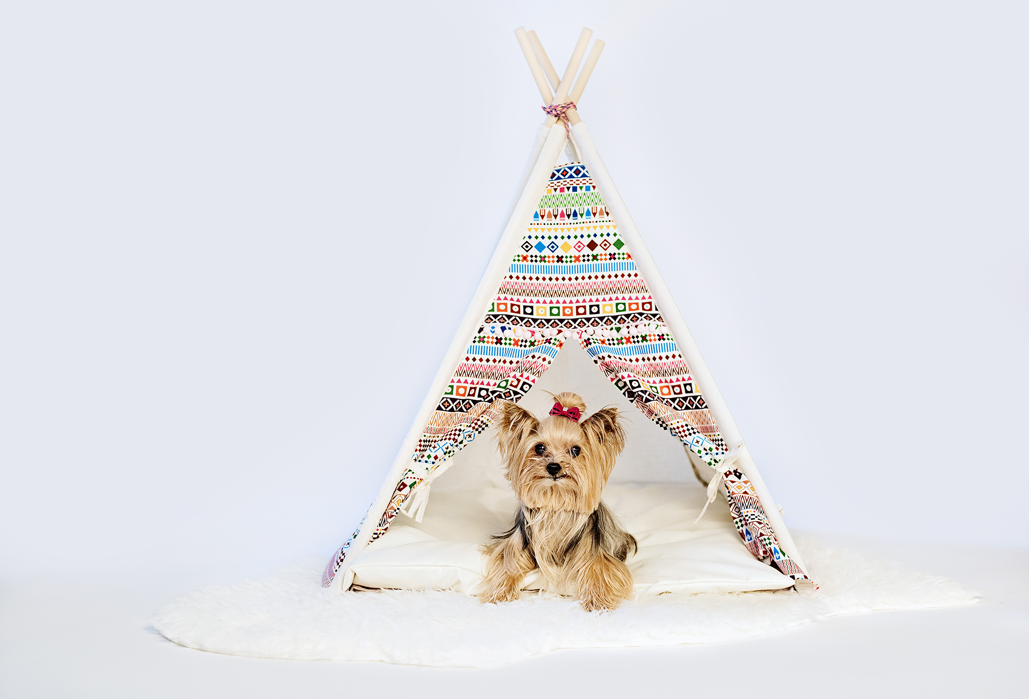 tipi-02-01.jpg