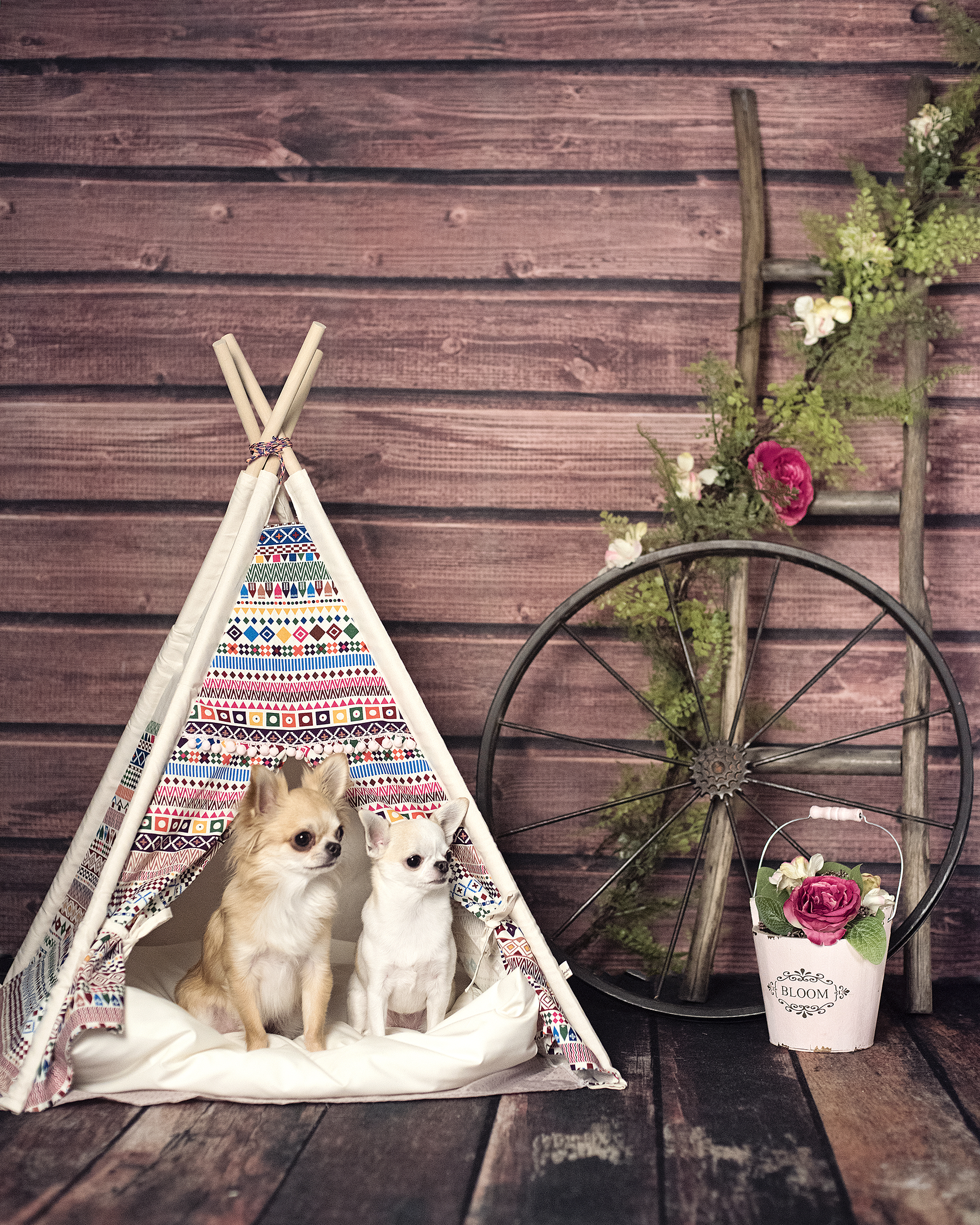 tipi-02-02.jpg
