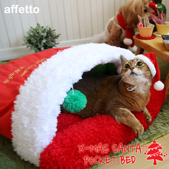x-mas-pocketbed-550-3.jpg